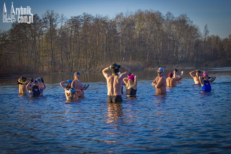 Foczki i morsy kąpią się po świętach w zimnej wodzie, Daniel Wojaczek